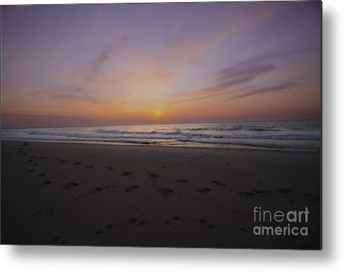 Beach Metal Print featuring the photograph Glorious Morn by Joe McCormack Jr