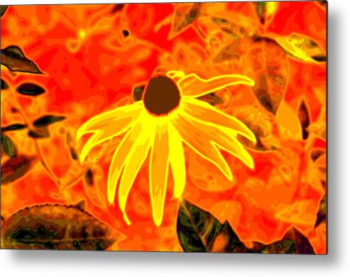 Black-eyed Susan Metal Print featuring the photograph Glowing Embers by Laureen Murtha Menzl