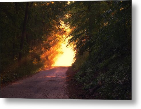 Glow Metal Print featuring the photograph Glowing Morning by Mountain Dreams