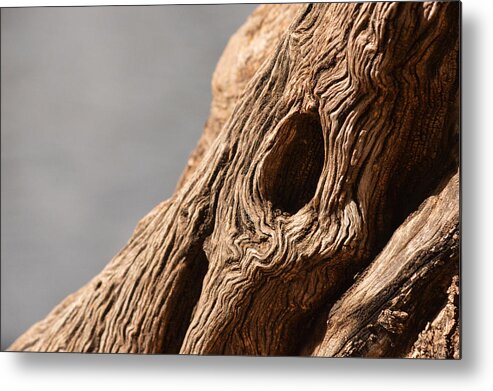 Wood Metal Print featuring the photograph Gnarly Wood by Michael McGowan