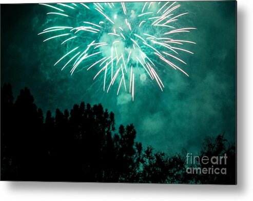  Metal Print featuring the photograph Go Green by Suzanne Luft