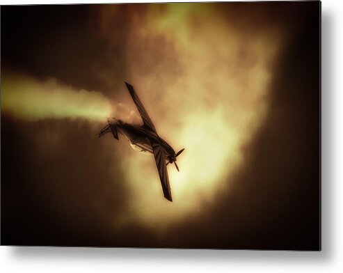 Silver Falcons Metal Print featuring the photograph Going for Gold by Paul Job