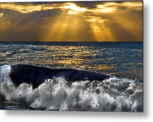#dee Why Metal Print featuring the photograph Golden eye of the morning by Miroslava Jurcik