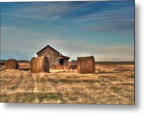 Texture Metal Print featuring the photograph Golden Hay by Lisa Knechtel