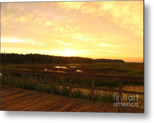 Sunset Metal Print featuring the photograph Golden Hour on Ossabaw Island by Andre Turner