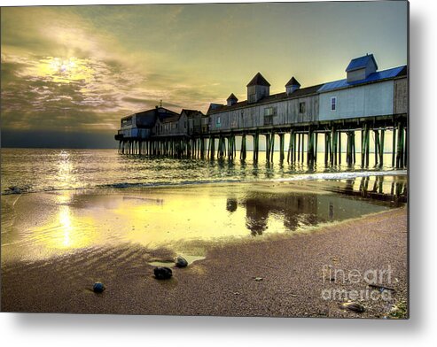 Oob Metal Print featuring the photograph Golden Joy by Brenda Giasson