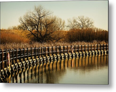 Gold Metal Print featuring the photograph Golden Mornings by Marilyn Hunt