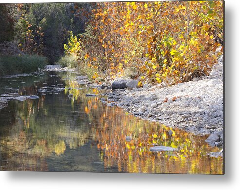 Reflections On Water Metal Print featuring the photograph Golden Reflections by Debbie Karnes