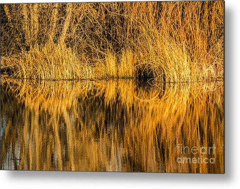 Abstract Metal Print featuring the photograph Golden Reflections by Sue Smith