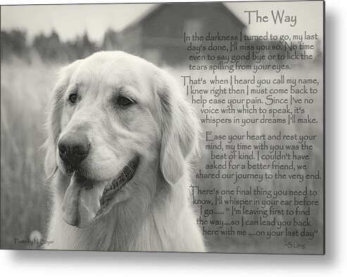 Quote Metal Print featuring the photograph Golden Retriever The Way by Sue Long