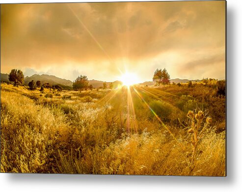 Golden Glow Metal Print featuring the photograph Golden Smoke by Emily Dickey