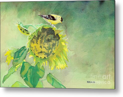 Bird Metal Print featuring the painting Goldfinch and Sunflowers by Steve Hamlin