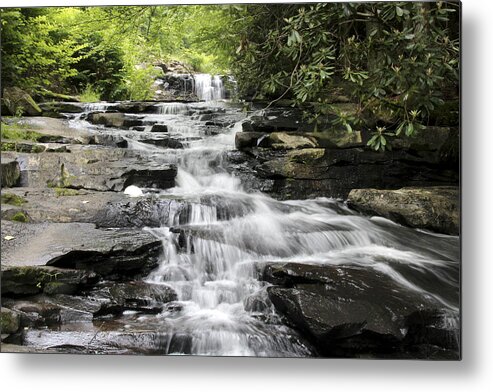 Waterfalls Metal Print featuring the photograph Goose Creek Falls by Robert Camp
