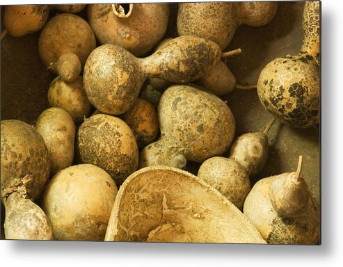 Gourds Photo Metal Print featuring the photograph Gourds by Bob Pardue