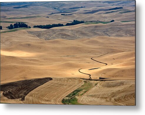 Grain Fields Metal Print featuring the photograph Grain Fields Palouse by Randall Branham