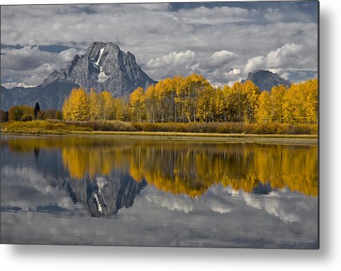 Grand Teton Gold Metal Print featuring the photograph Grand Teton Gold by Wes and Dotty Weber
