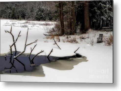 Pond Metal Print featuring the photograph Grandfathers Garden by Brenda Giasson