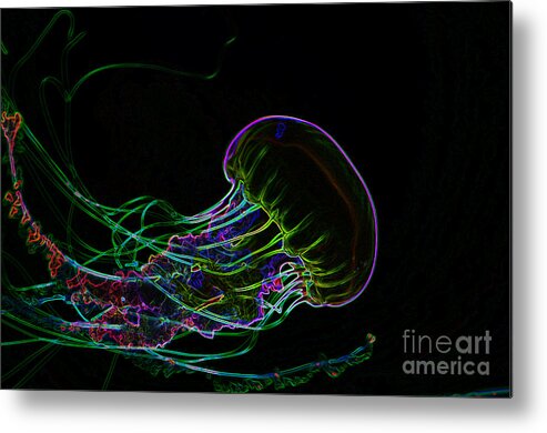 Jellyfish Metal Print featuring the digital art Graphic Jelly Fish by Louise Magno