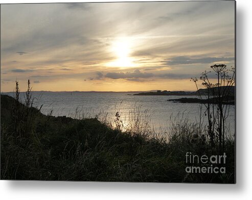 Sunset In Eli Metal Print featuring the photograph Grass in the setting sun by Elena Perelman