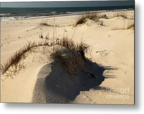 St Joseph Peninsula State Park Metal Print featuring the photograph Grassy Dunes by Adam Jewell