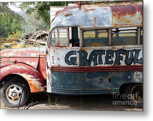 Grateful Metal Print featuring the photograph Grateful by Sophie Vigneault