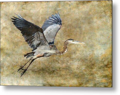 Heron Metal Print featuring the photograph Great Blue Heron 2 by Angie Vogel