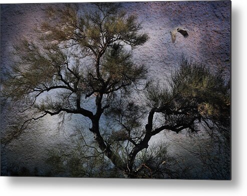Tree Metal Print featuring the photograph Greatness by Barbara Manis