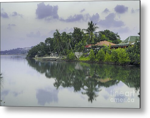 Michelle Meenawong Metal Print featuring the photograph Green Reflections by Michelle Meenawong