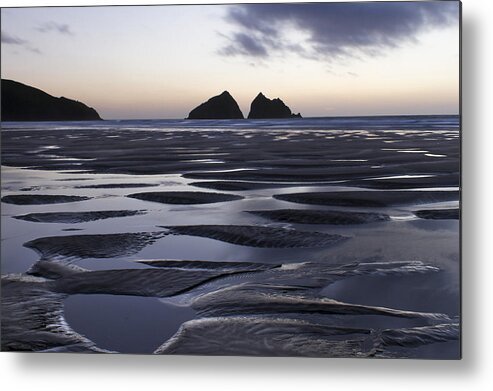 Gull Metal Print featuring the photograph Gull Rocks Holywell Bay by Debra Jayne