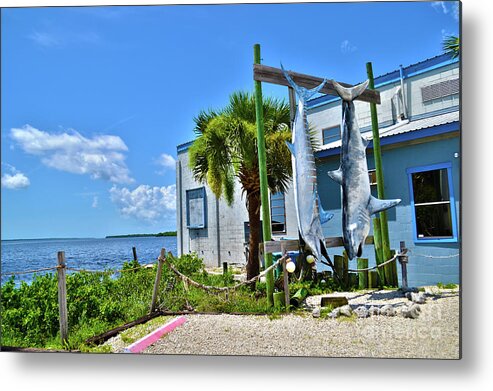 Matlacha Metal Print featuring the photograph Hanging in Matlacha Florida by Timothy Lowry