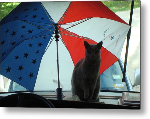 Cat Metal Print featuring the photograph Happy 4th of July by Susan Woodward