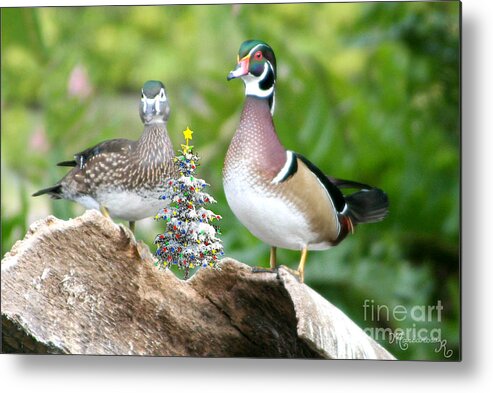 Fauna Metal Print featuring the photograph Happy Holidays by Mariarosa Rockefeller