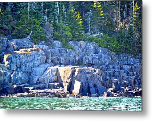 Island Metal Print featuring the photograph Harbor Island by Tara Potts