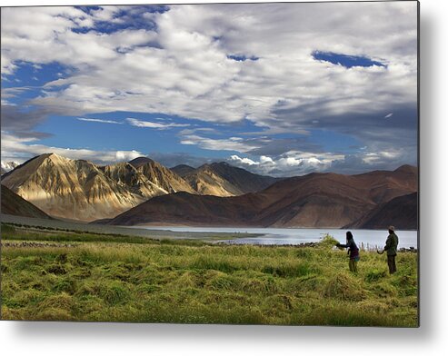 Scenics Metal Print featuring the photograph Harvesting By The Side Of Pangong Lake by Photograph By Nilanjan Sasmal