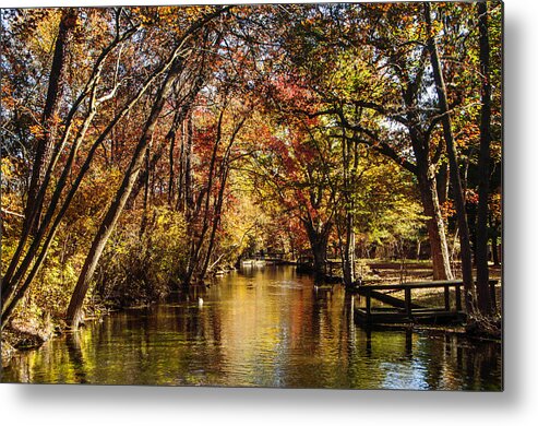 Park Metal Print featuring the photograph Hatchery in Autumn by Cathy Kovarik