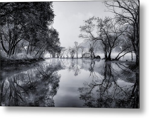 Fog Metal Print featuring the photograph Healing Spot by Tiger Seo