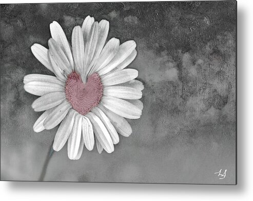 Heart Of A Daisy Metal Print featuring the photograph Heart Of A Daisy by Linda Sannuti