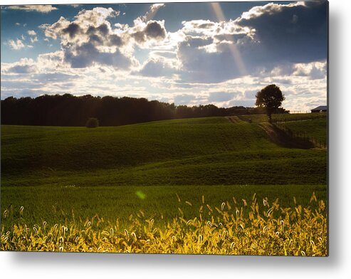 Landscape Metal Print featuring the photograph Heart of Nature by Everett Houser