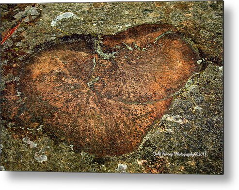 Photography Metal Print featuring the photograph Heart on the Rocks by Jale Fancey