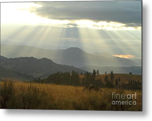 Rays Metal Print featuring the photograph Heaven On Earth by Bill Singleton