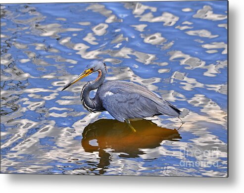 Tricolored Heron Metal Print featuring the photograph Heavenly Heron by Al Powell Photography USA