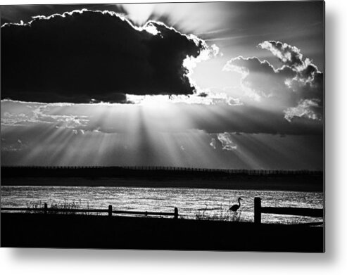 Alabama Metal Print featuring the photograph Heron and the Cloudburst by Michael Thomas
