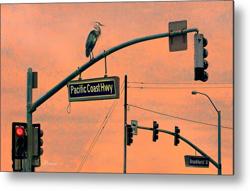 Great Blue Heron Metal Print featuring the photograph Heron on PCH by Jennie Breeze
