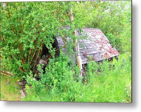 House Metal Print featuring the photograph Hidden by Marilyn Diaz