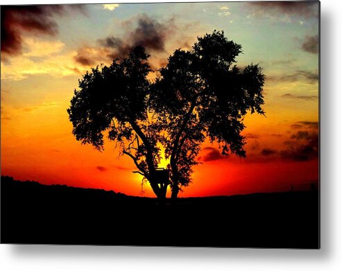 Texas Hill Country Metal Print featuring the photograph Hill Country Darkness by David Norman