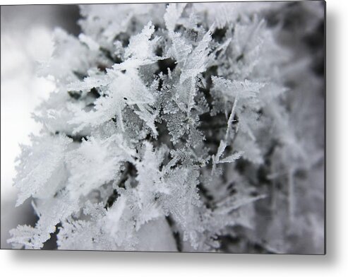 Hoar Frost Metal Print featuring the photograph Hoar Frost in November by Ryan Crouse