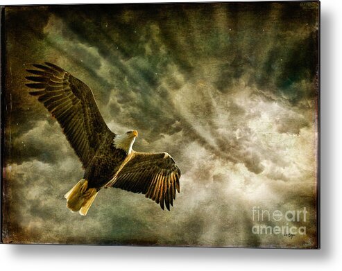 Eagle Metal Print featuring the photograph Honor Bound In Blue by Lois Bryan