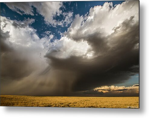 Hope Metal Print featuring the photograph Hope by Jeff Niederstadt