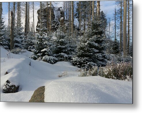 Nature Metal Print featuring the photograph Hopfensack, Harz by Andreas Levi