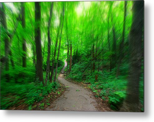 Woods Metal Print featuring the photograph Hopkins Path by Amanda Stadther